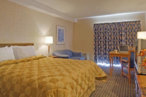 Comfort Inn Оуен Саунд Стая снимка